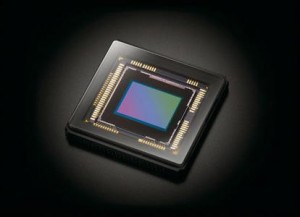 u=607790302,4032923922&fm=23&gp=0