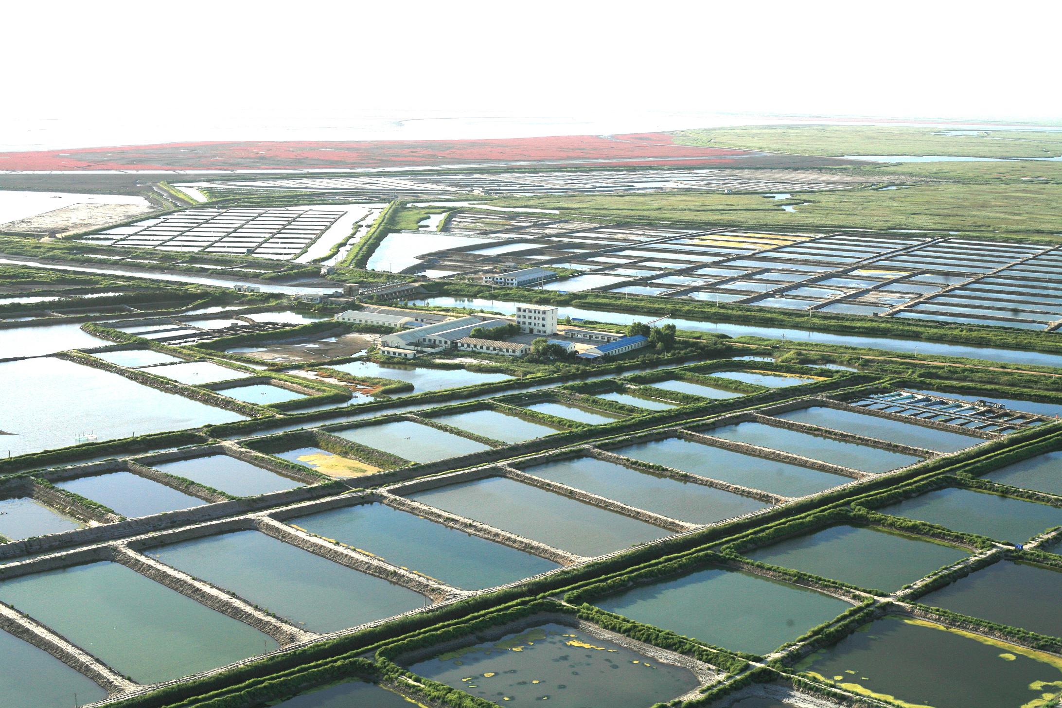 W020120511319287225254