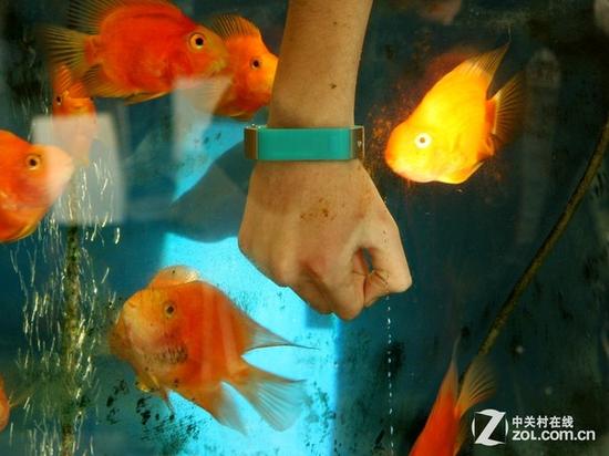 算法全面升级 体记忆T9-3z智能手环评测 