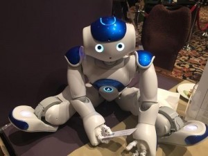 u=2436355665,2685896063&fm=23&gp=0