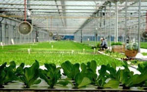 u=2865134596,1710135757&fm=11&gp=0