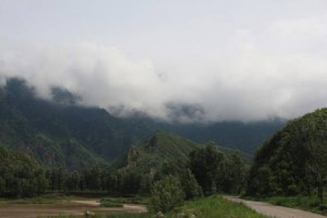 u=3691778392,2216450367&fm=21&gp=0