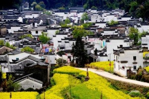 u=653305758,32313170&fm=21&gp=0