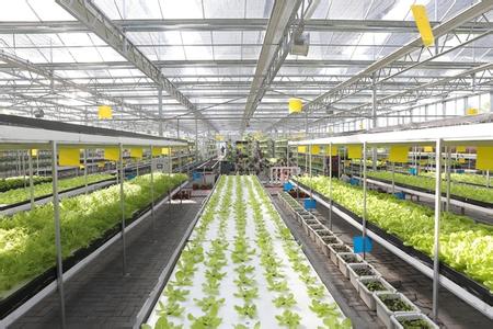 u=2898999323,756570425&fm=11&gp=0