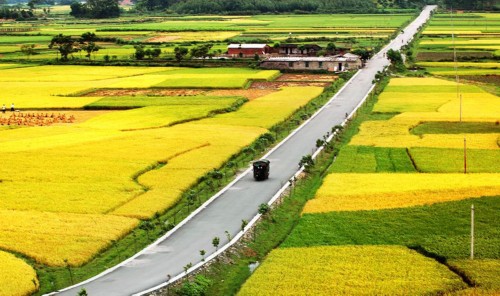 11502520891493905423