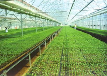 635330877118906438605