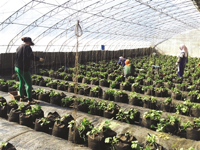 20160218141920594783