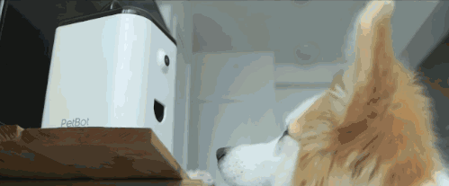 细数那些红遍欧美的创新智能硬件