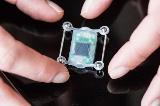 皮肤里植入这个设备 你可能就能看到鬼了