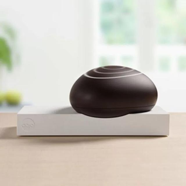 国外开发智能家居设备 专门用来抵抗黑客攻击