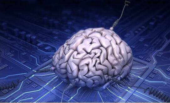 人工智能爆发金准数据解析韦特大脑的“智慧基因”