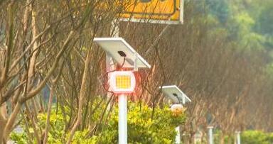 借助传感器技术 高速智能防护栏报警装置可自动报警 借助传感器技术 高速智能防护栏报警装置可自动报警