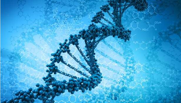 细看全球人工智能企业Top 100在医疗健康领域的布局