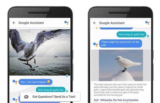 【真相揭秘】为什么人工智能助手更像人工智障？