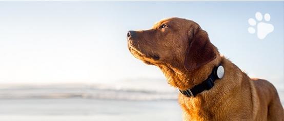 站在用户的角度聊一聊物联网那些事儿 站在用户的角度聊一聊物联网那些事儿