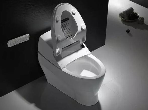普及率1%，智能马桶真的不受欢迎？