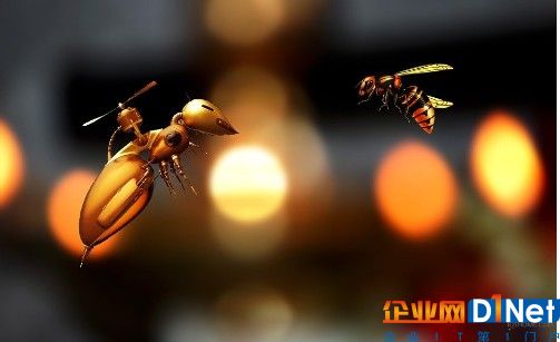 物联网可以从蜜蜂身上学到什么