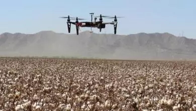 【盘点】无人机在农业上的12个潜在应用