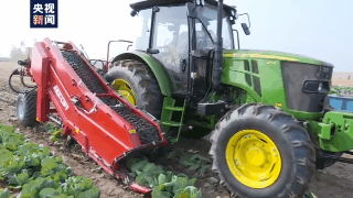 新技术！我国蔬菜全程智能无人化生产取得突破