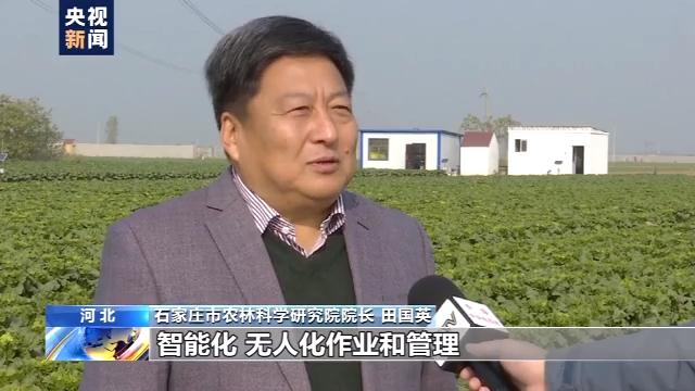 新技术！我国蔬菜全程智能无人化生产取得突破