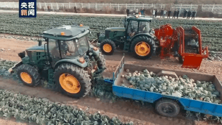 新技术！我国蔬菜全程智能无人化生产取得突破