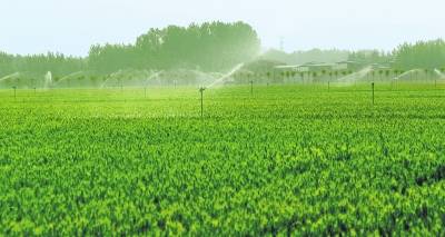 “三农”服务“一张网” 数字正在成为“新农资”