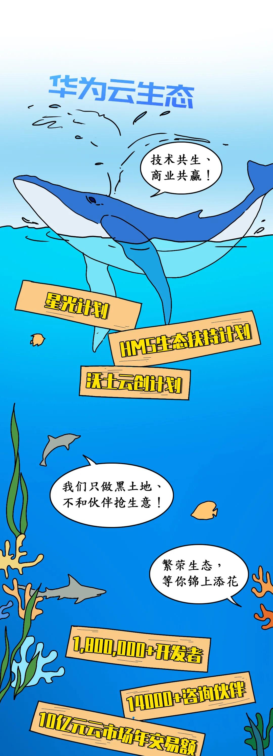 云计算生态圈图鉴:你还在最后一层摸鱼吗?