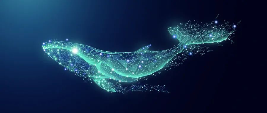 5G时代的海洋之歌