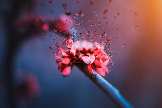 残酷春天里的中国科技（一）：当疫情直抵咽喉