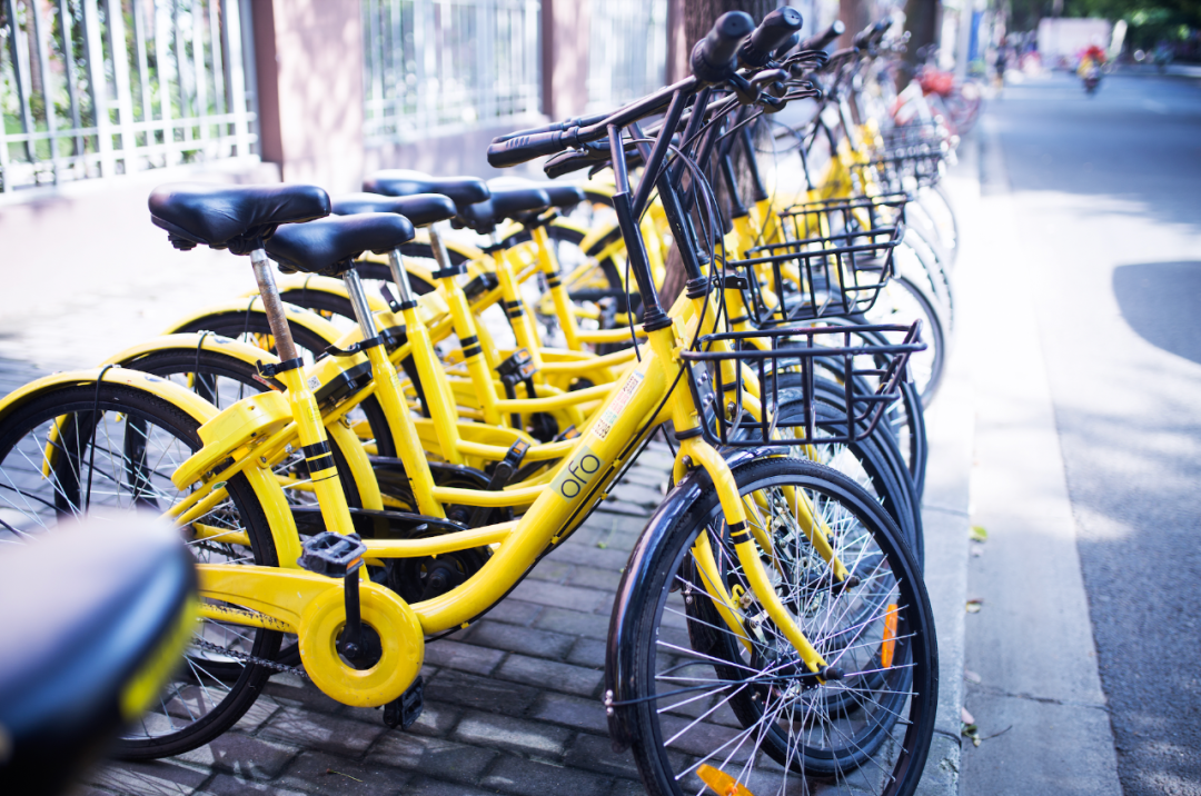 花1亿元只为入一城，共享产品变身“价格刺客”？