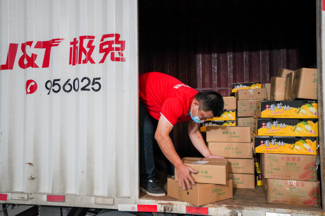 千亿快递时代，照亮极兔逆袭之路