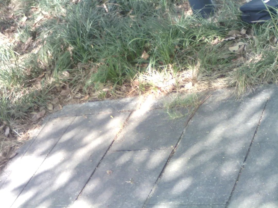 案例分享 | 供热管道“体检”忙！西北某大型热电厂用它查漏