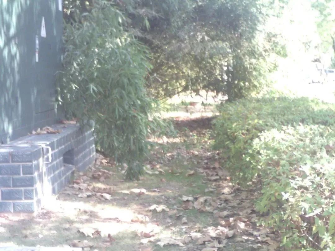 案例分享 | 供热管道“体检”忙！西北某大型热电厂用它查漏