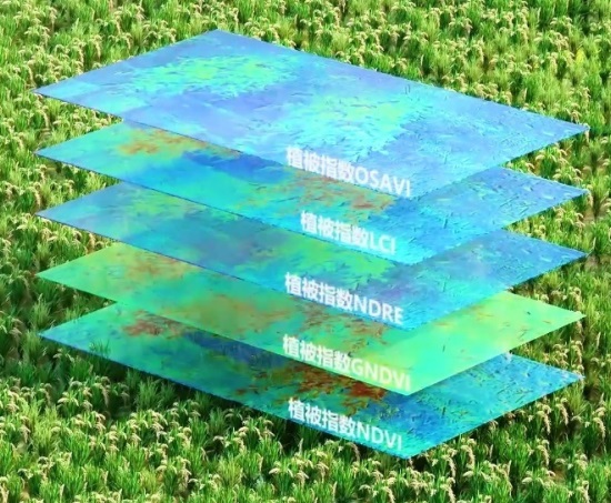 1706510076345005950.jpg 1706510076345005950.jpg