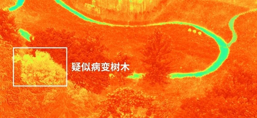 1706510170540069778.jpg 1706510170540069778.jpg